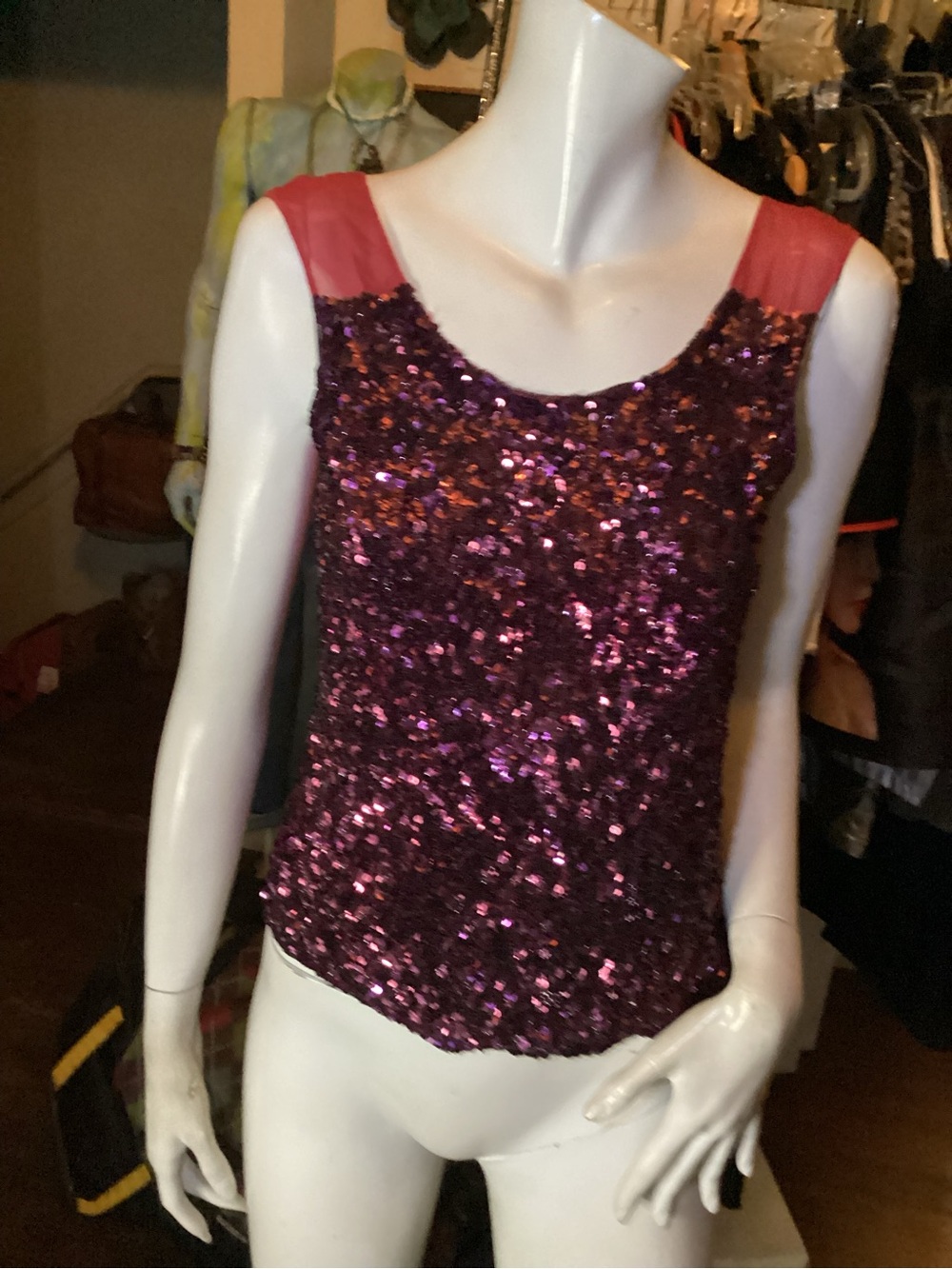Saja Burgundy Sequin Top with plain silk burgundy back